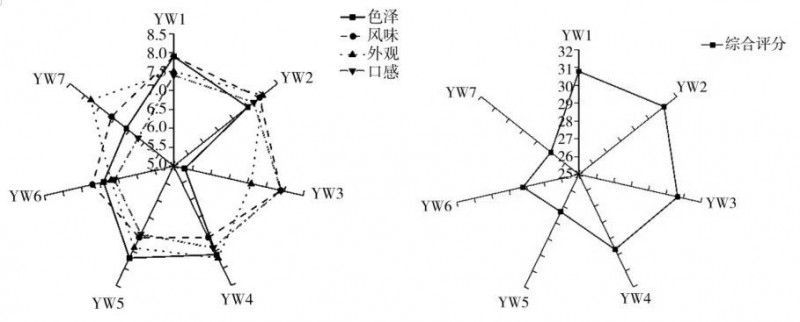 微信圖片_20250624090202